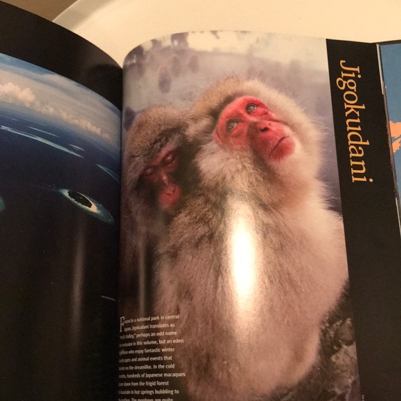 Heaven on Earth book - Picture 6 of 8